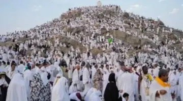 جمبرى ولحوم وفواكه طازجة.. كواليس المنيو الفاخر لحجاج القرعة فى عرفات